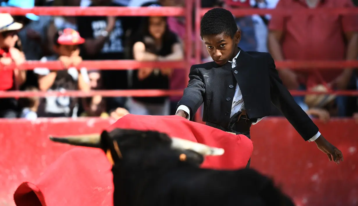 Seorang anak bernama Kilian (10) bertarung melawan banteng kecil saat belajar menjadi matador di arena adu banteng Franquevaux di sekolah adu banteng, Prancis selatan (20/5). (AFP Photo/Anne-Christine Poujoulat)