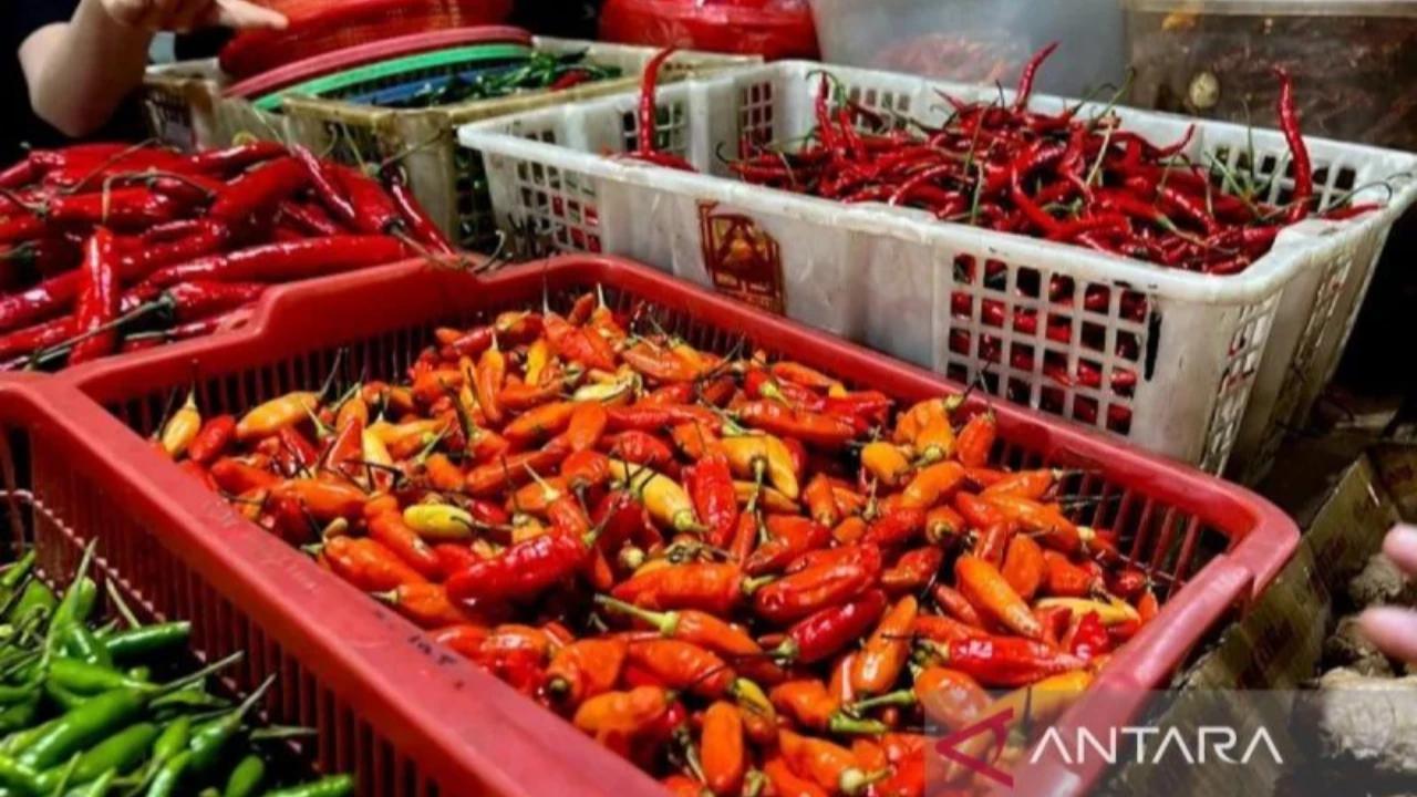 Harga Cabai Rawit Melonjak, Telur Ayam Ras Bertahan di Rp31.800 per Kg