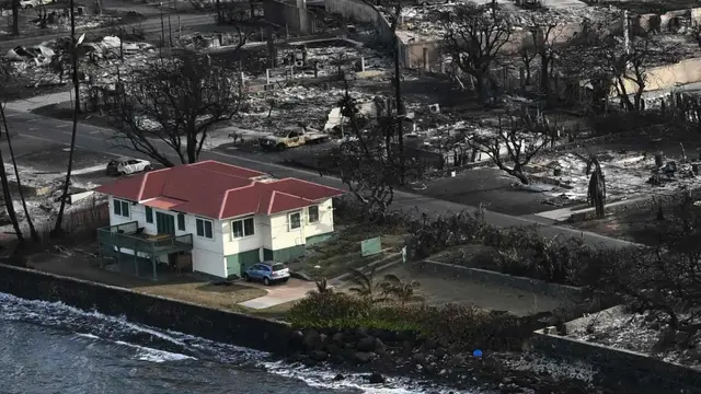 Rumah Beratap Merah Maui