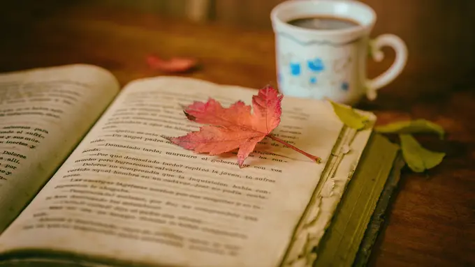 Ilustrasi Relationship