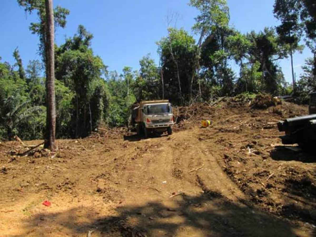 Parahnya kerusakan hutan lindung di Sulut akibat tambang ilegal