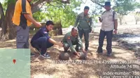 Pelapas liaran 3 orang terenggiling yang merupakan satwa dilindungi di Taman Nasional Baluran (Istimewa)