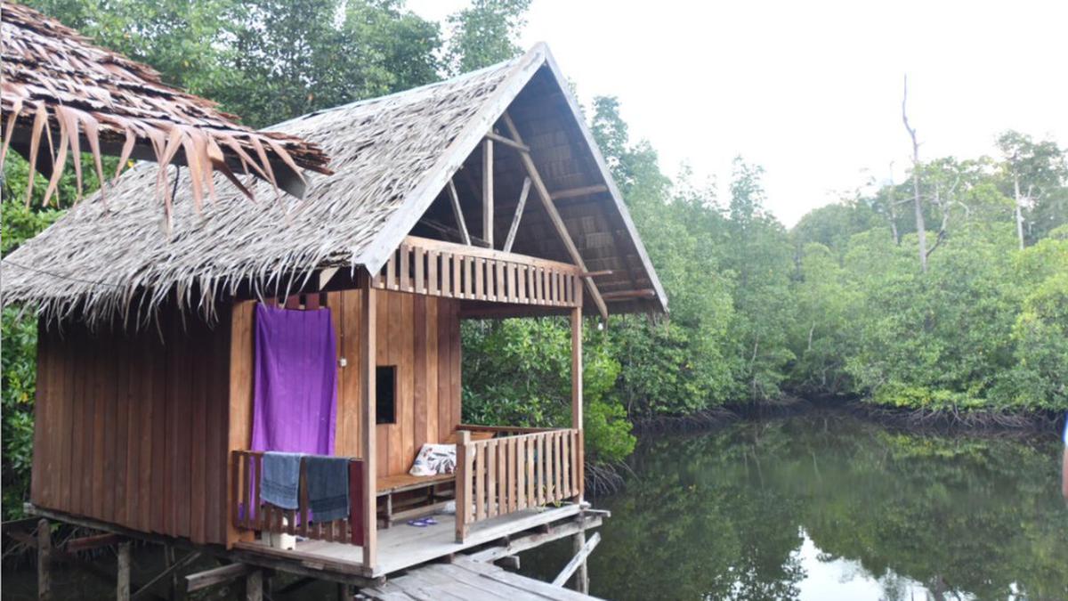 CSR Pertamina Dorong Ekowisata Raja Ampat, Warga Kelola Homestay Mandiri