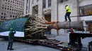 Pekerja melintasi batang pohon Natal Rockefeller Center 2020 saat akan disiapkan untuk diletakkan di Rockefeller Plaza, New York pada Sabtu (14/11/2020). Pohon cemara spruce Norwegia setinggi 75 kaki dan 11 ton tersebut berasal dari Oneonta untuk menyambut Natal 2020. (AP Photo/Craig Ruttle)