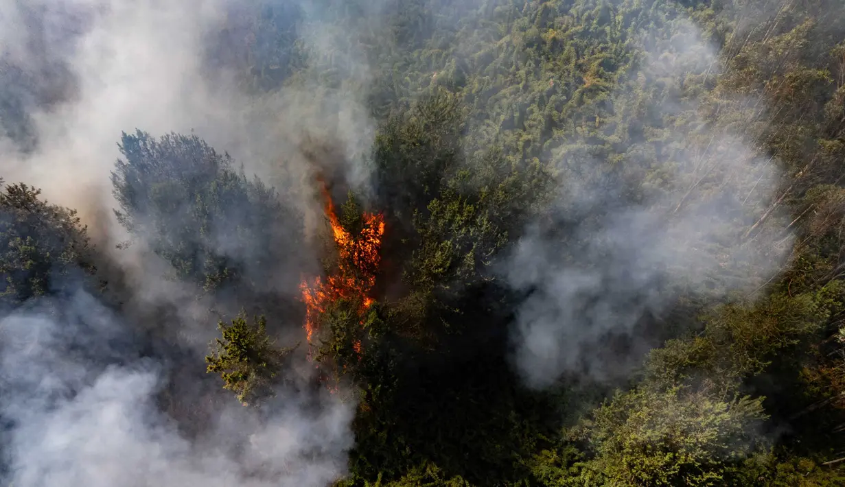Petugas juga menerbangkan pesawat tanpa awak untuk mengindentifikasi titik panas. (LUIS ACOSTA/AFP)