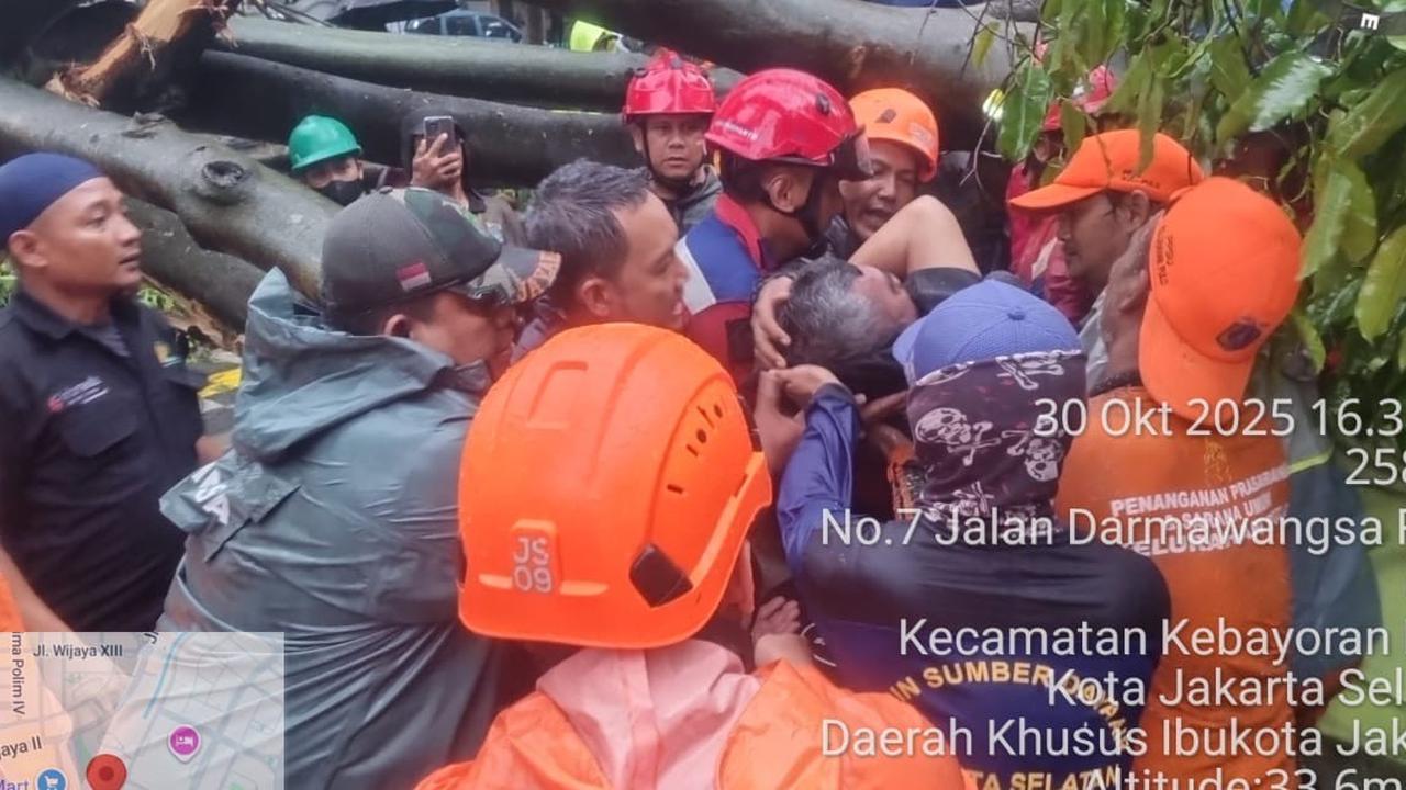 Detik-Detik Pohon Rengas Raksasa Tumbang di Darmawangsa, 4 Mobil Ringsek dan 1 Nyawa Melayang