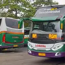 Cari Cuan Baru, Lorena Siap Masuk Bisnis Kargo