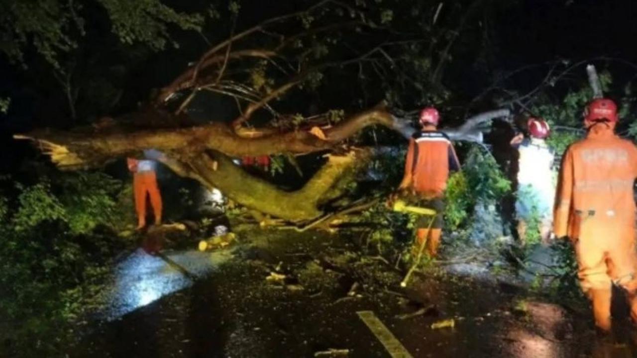 BPBD Nganjuk Imbau Warga Waspada Cuaca Ekstrem, Potensi Angin Kencang dan Pohon Tumbang