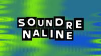 Dok. Tim Soundrenaline 2025)
