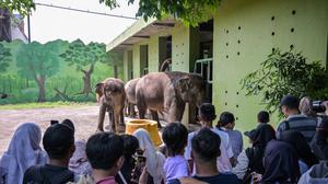 Korupsi Dana Satwa KBS, Sahroni Desak Audit Menyeluruh Kebun Binatang