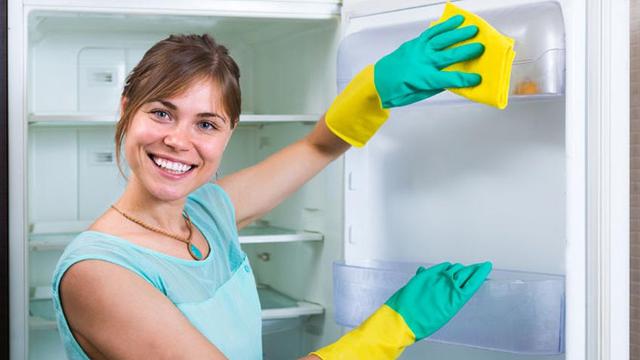 Perabotan Rumah Ini Menjadi Sarang Bakteri