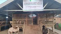 Seleksi Ketat Hewan Kurban untuk Korban Banjir Aceh