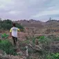 Seorang petani di Bukit Rinting, Desa Lubuk Mandarsah, Tebo, Jambi, menunjukan lahannya yang dirusak oleh perusahaan. Kelompok tani di desa tersebut sampai saat belum mendapat kepastian. (Liputan6.com/Gresi Plasmanto)