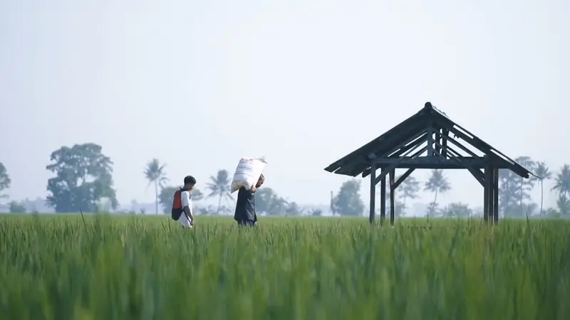 Tambahan Rp14 Triliun Bakal Dialokasikan untuk Masa Tanam Berikutnya