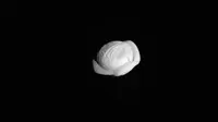 Pan, bulan Saturnus yang mirip cemilan Italia. (Foto: Gizmodo)