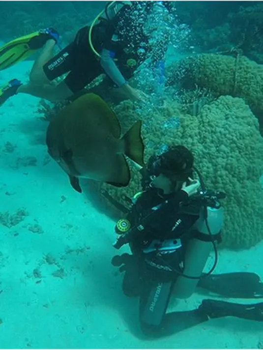 Dalam beberapa potret yang diunggah di media sosial, ia terlihat begitu menikmati liburan bersama dengan sang kekasih. Tidak hanya berbagi kebahagiaannya melalui foto tapi juga video kepada penggemarnya. (Instagram/nikitawillyofficial94)