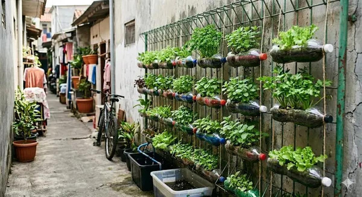 7 Inspirasi Kebun Mini Hidroponik untuk Rumah di Gang Sempit, Hijaukan Lahan Terbatas