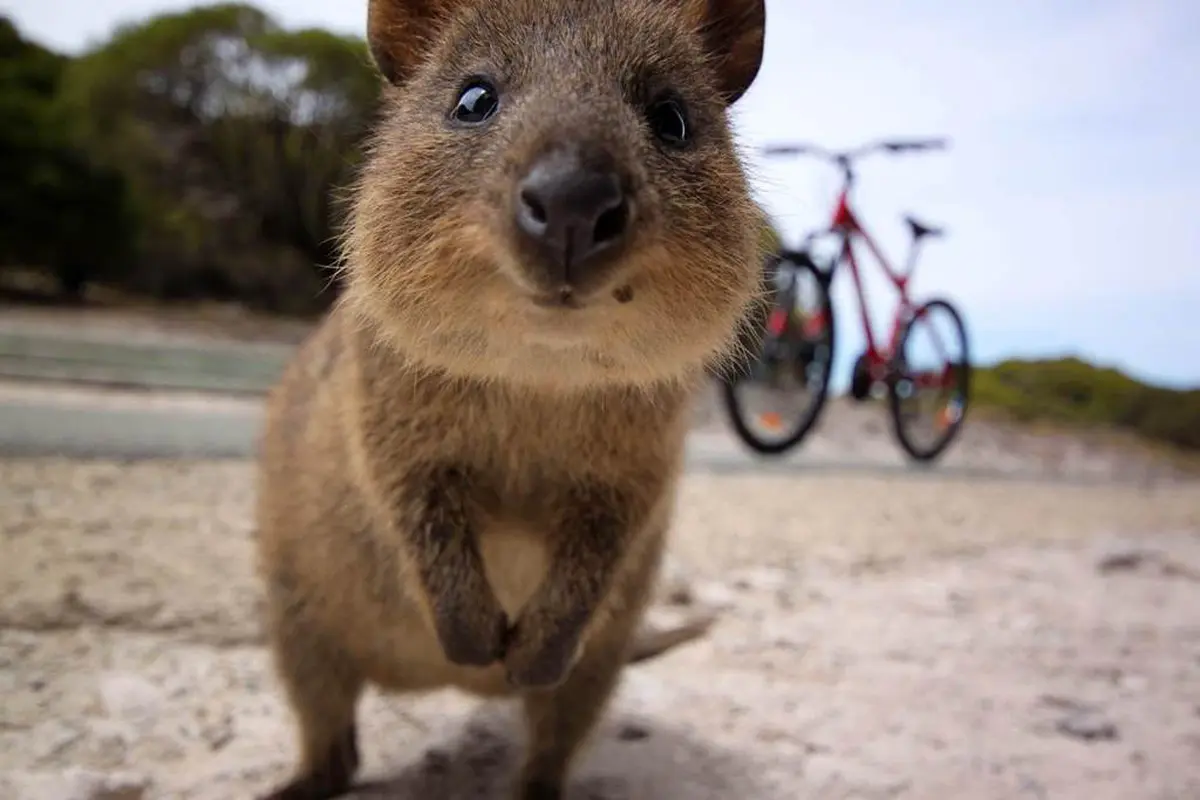 Australia