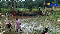 Tanggul Jebol, Puluhan Hektare Sawah Gagal Panen