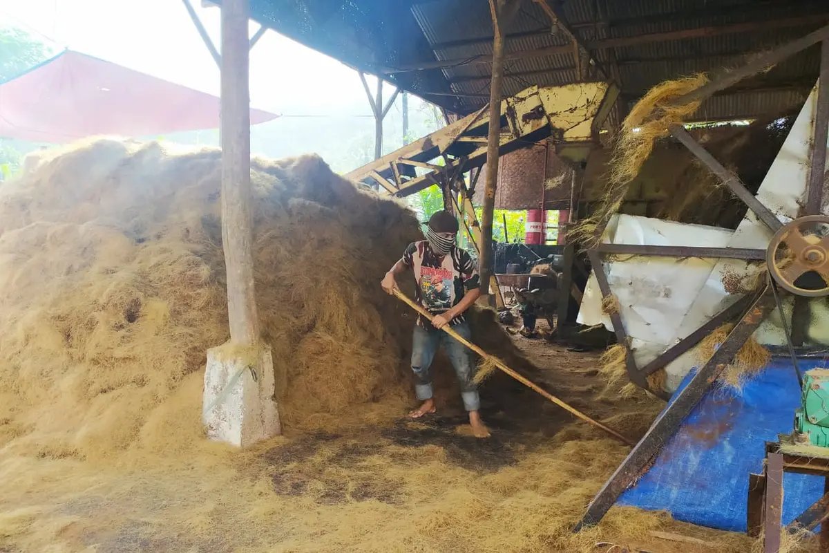 Proses pengolahan limbah sabut kelapa saat pandemi covid-19, sangat membantu perekonomian masyarakat sekitar Parigi, Pangandaran, Jawa Barat.