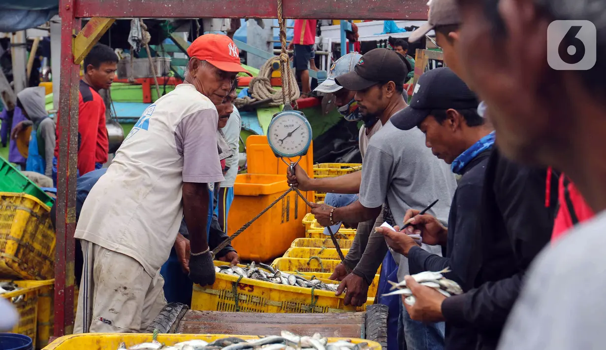 Nelayan menimbang ikan hasil tangkapan di Pelabuhan Muara Angke, Jakarta, Selasa (27/12/2022). Kementerian Kelautan dan Perikanan (KKP) pada 2023 menargetkan peningkatan nilai ekspor komoditas kelautan dan perikanan hingga mencapai USD 7,6 miliar. (Liputan6.com/Herman Zakharia)
