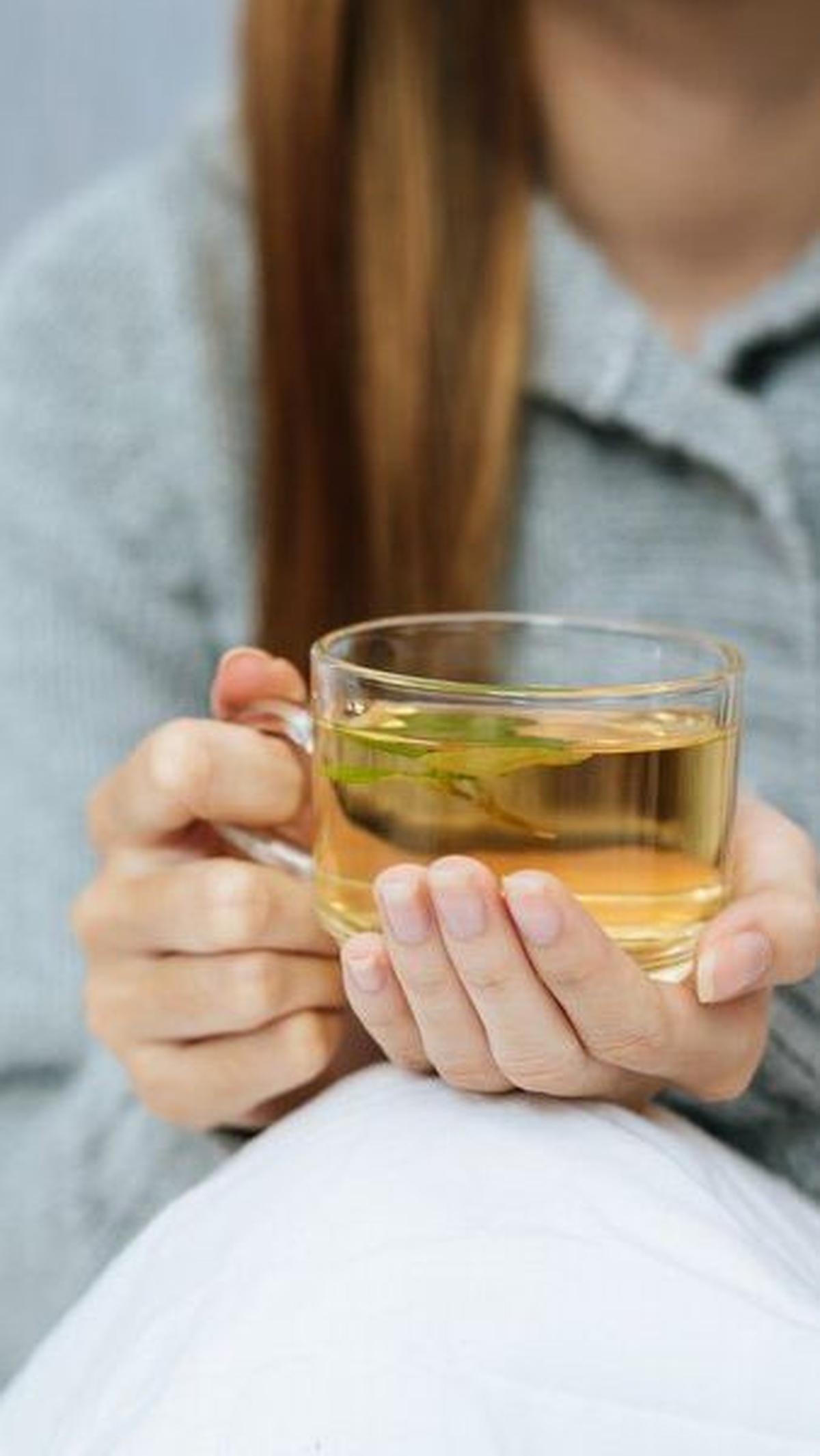 Cara Mengolah Daun Kelor Menjadi Teh