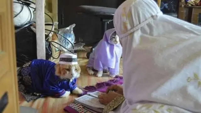 6 Potret Kucing Temani Orang Mengaji Ini Bikin Gemas