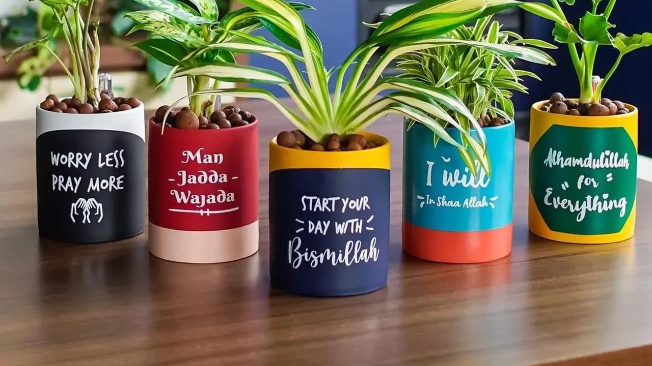 Tanaman Hias Kekinian ala Mini Gardena, Makin Cantik di Pot Unik Berhidrometer
