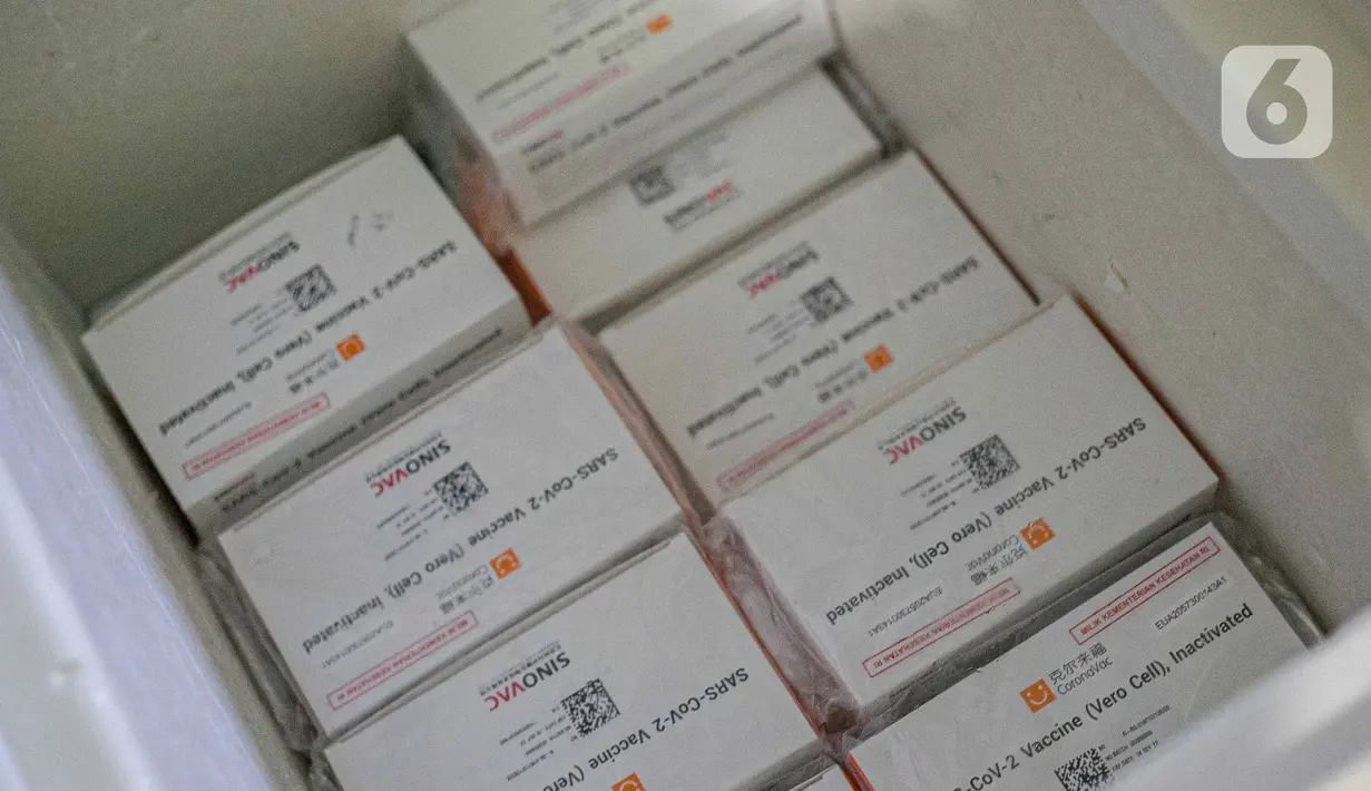 Kotak vaksin virus corona buatan Sinovac Biotech Ltd. terlihat di Puskesmas Cilincing, Jakarta, Rabu (13/1/2021). Pemprov DKI akan menggelar vaksinasi di 453 fasilitas kesehatan DKI Jakarta dengan jumlah dosis vaksin yang sudah diterima sebanyak 39.200 vaksin. (Liputan6.com/Faizal Fanani)
