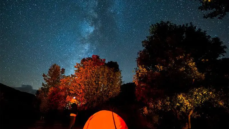 Pemandangan Langit Malam