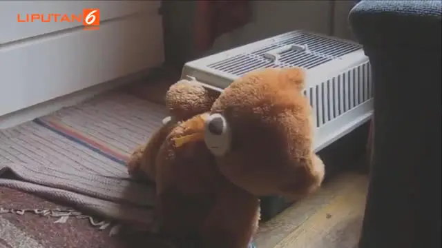 Dalam video itu, anjing itu dengan susah payah memasukkan boneka Teddy Bear ke dalam kandangnya yang sempit.