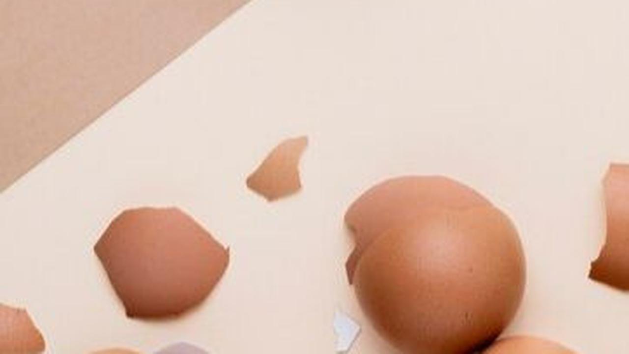 <b>2. Sisa Kulit Telur</b>