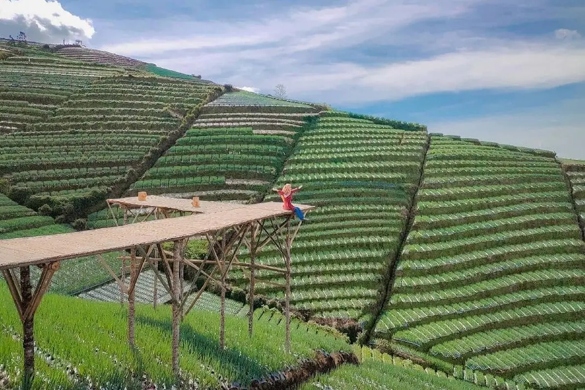 Wisata Alam Terasering Berlatar Gunung Sumbing, Pemandangannya Mirip di Gim Minecraft
