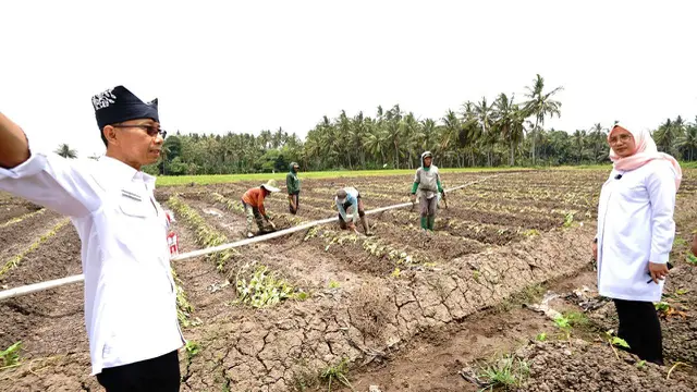Bupati Banyuwangi Ipuk Fiestiandani  pantau ketersedian air  untuk area pertanian  di sejumlah titik di Banyuwangi (Istimewa)