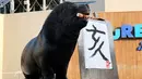 Singa laut 'Leo' (15) usai melukis aksara China tahun babi hutan sebagai persiapan Tahun Baru Imlek di Hakkeijima Sea Paradise, Yokohama, Tokyo (26/12). Tahun Baru Imlek akan dirayakan pada awal Februari 2019. (AFP Photo/Kazuhiro Nogi)