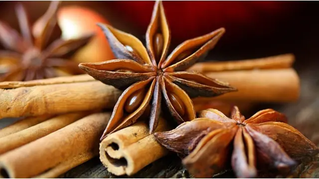 Copyright by Shutterstock.com