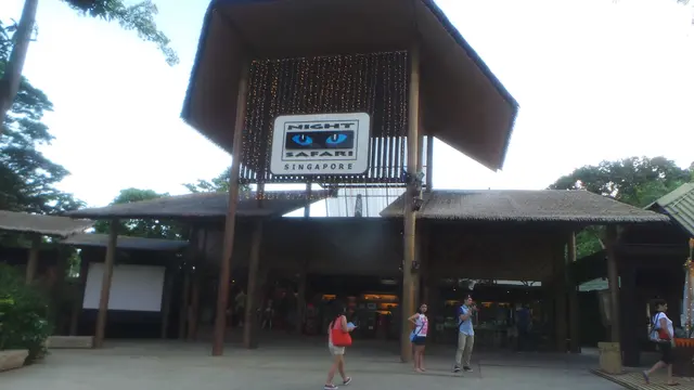 Jurong Bird Park & Safari Night SIngapore 0115 11