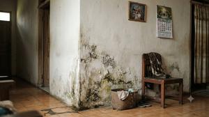 8 Cara Mengurangi Bau Apek di Rumah Saat Cuaca Lembap, Hadirkan Kenyamanan Instan