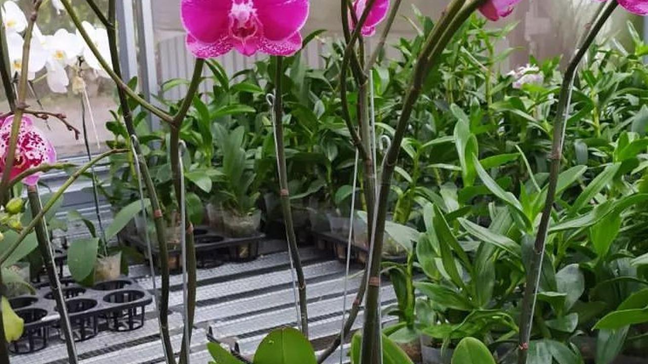 BRI Membantu Misi Keluarga Anggrek Muntilan