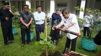 Bupati Garut Rudy Gunawan melakukan penanaman pohon Samida, yang dinilai sarat makna dan sejarah sejak Prabu Siliwangi, yang akan digunakan sebagai ikon daerah Garut. (Liputan6.com/Jayadi Supriadin)