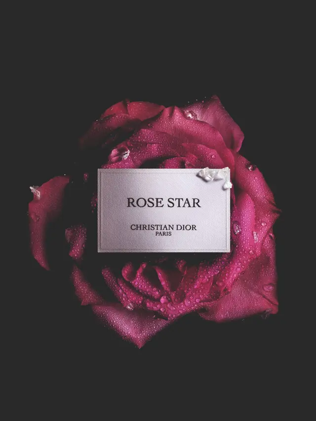 Dior Rose Star, Ketika Mawar dan Bintang Menyatu dalam Aroma yang Berkilau