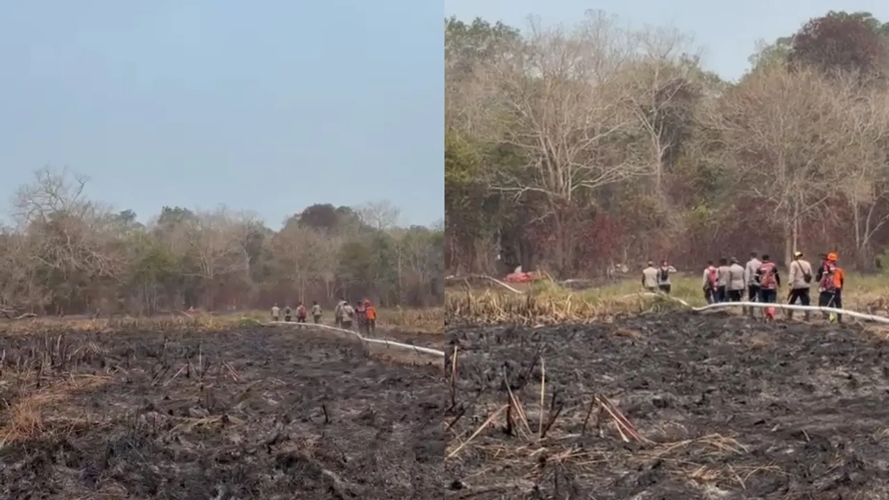 Titik Api Baru di Way Kambas Lampung Padam, Lokasi 14 Km dari Pusat Latihan Gajah