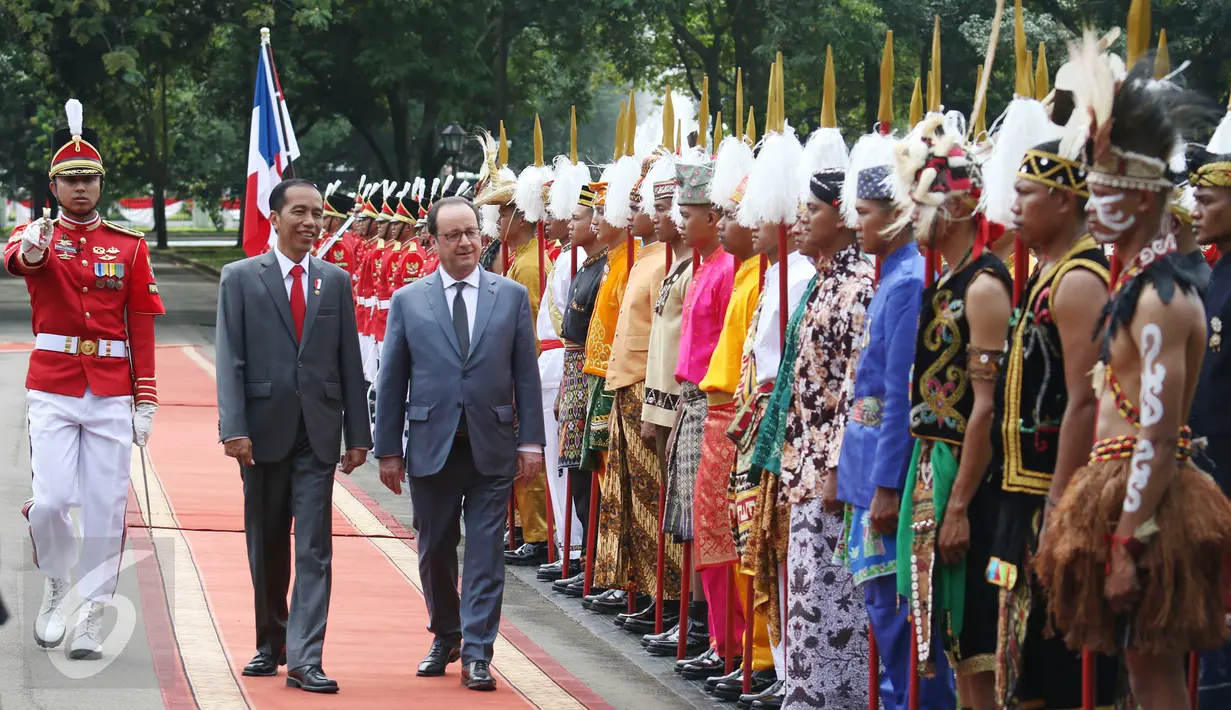 Presiden Jokowi dan Presiden Prancis Francois Hollande memeriksa pasukan kehormatan pada Upacara Kenegaraan di Istana Merdeka, Jakarta, Rabu (29/3). Kehadiran Presiden Hollande diiringi pasukan nusantara dan dan marching band. (Liputan6.com/Angga Yuniar)