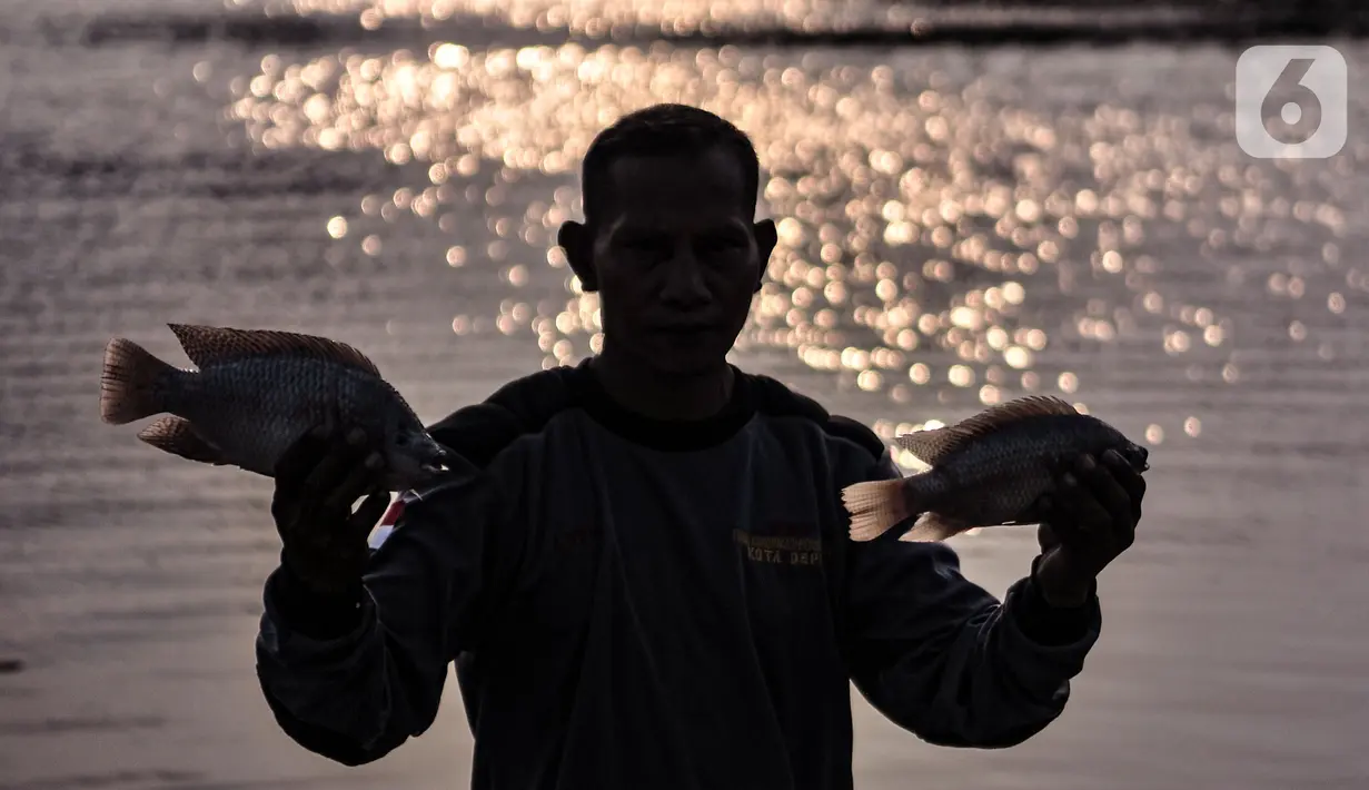 Warga menunjukkan bangkai ikan Mujair di Situ Rawa Besar, Lio, Depok, Jawa Barat, Kamis (20/8/2020). Sejak dua hari terakhir ribuan ekor ikan Mujair mati dan memenuhi Situ Rawa Besar yang menurut warga setempat disebabkan oleh faktor cuaca. (merdeka.com/Iqbal S. Nugroho)