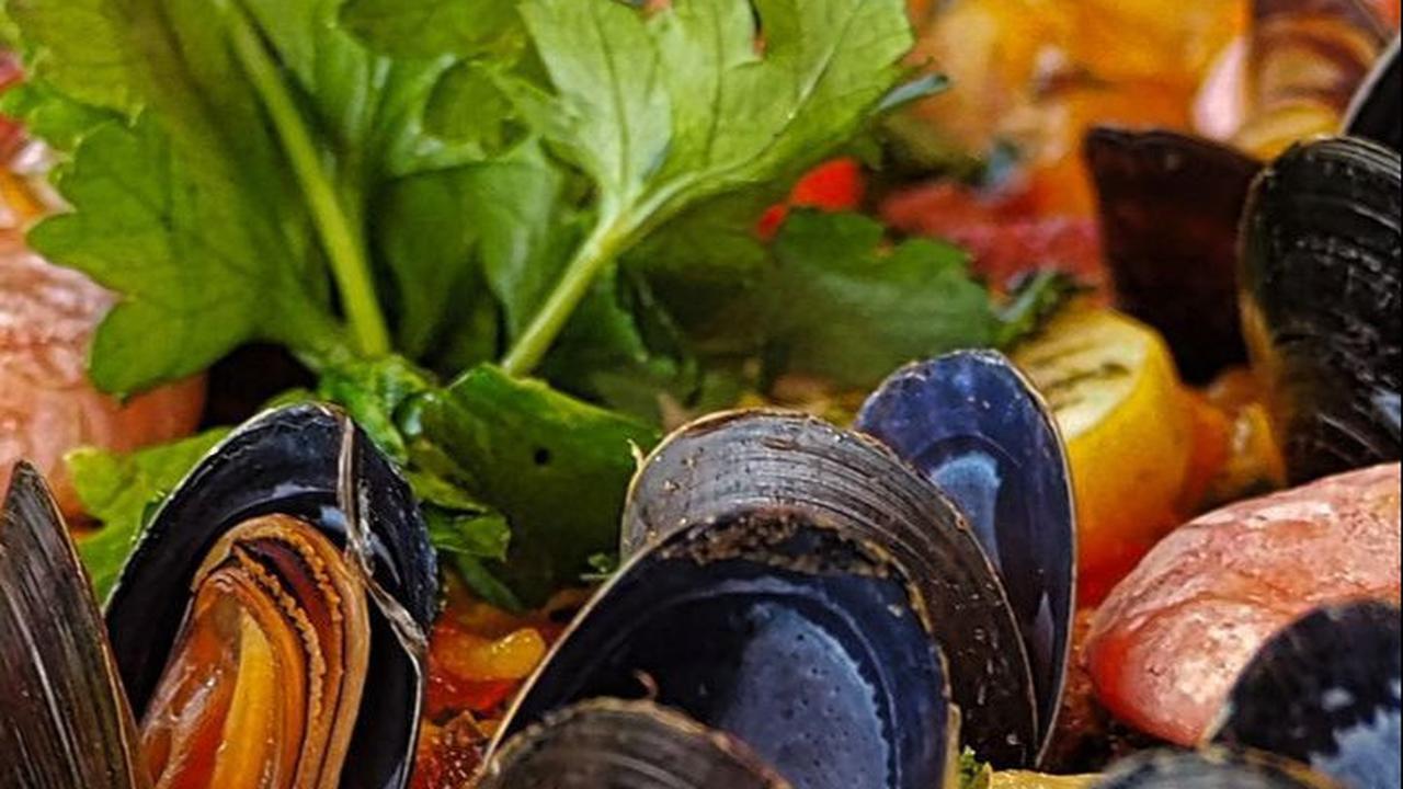 8. Kerang-kerangan
