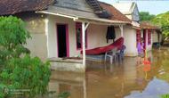 Banjir rob menerjang rumah warga Tuban. (Ahmad Adirin/Liputan6.com).