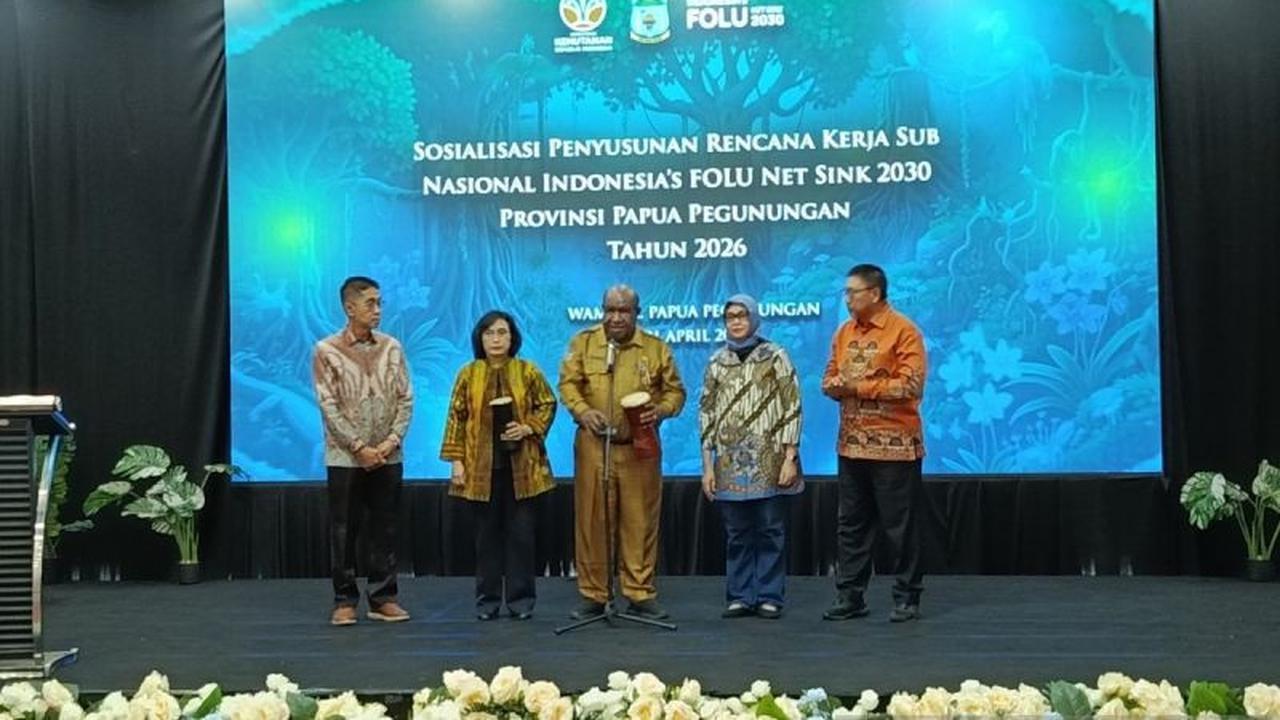 Hutan Papua Pegunungan: Penyangga Ekosistem Bumi dan Harapan Capai Folu Net Sink 2030