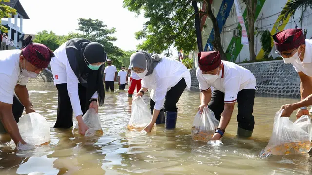 Bupati Banyuwangi Ipuk Fiestiandani Menebar Ikan di Sungai Bagong, Banyuwangi .(Istimewa)