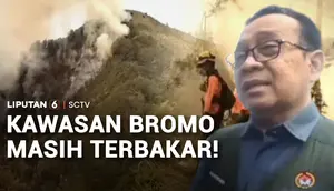 Berpacu dengan Waktu, Perjuangan Petugas Padamkan Karhutla di Bromo