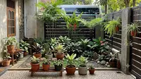 9 Inspirasi Kebun Mini di Balik Pagar yang Tidak Terlihat dari Jalan, Jadi Oase Tersembunyi